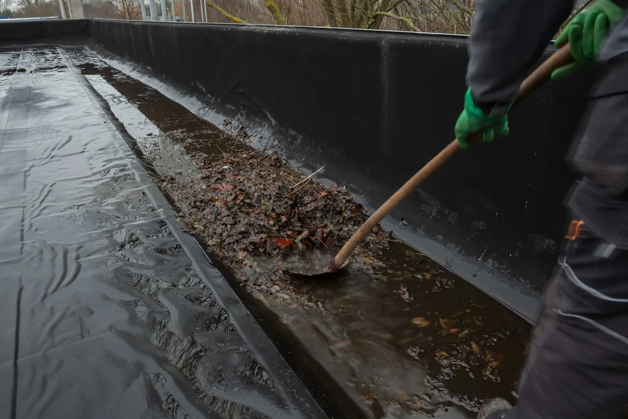 drain and scupper review